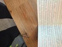 Gebraucht Audi A4 163 PS (119 kW) 2002 Schwarz Kombi