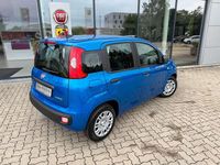 Neu Fiat Panda 69 PS (50 kW) 2025 Blau Kleinwagen