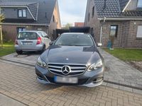Gebraucht Mercedes E200 Elegance 184 PS (135 kW) 2014 Grau Limousine