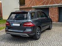 Gebraucht Mercedes ML250 204 PS (150 kW) 2014 Grau SUV
