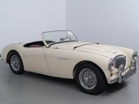 Brugt Austin Healey 100 90 HK (66 kW) 1954 Hvid Cabriolet
