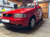 Usata VW Polo 60 CV (44 kW) 1997 Rosso Utilitaria