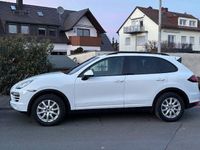 Gebraucht Porsche Cayenne 299 PS (219 kW) 2013 Weiß SUV