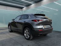 Gebraucht Mazda CX-30 Selection 150 PS (110 kW) 2020 Grau SUV