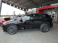 gebraucht Lexus NX350h Executive Line