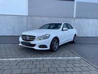 Gebraucht Mercedes E250 Avantgarde 204 PS (150 kW) 2016 Weiß Kombi