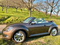 Gebraucht VW Beetle Edition 105 PS (77 kW) 2014 Braun Kleinwagen