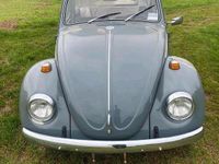 Gebraucht VW Käfer 44 PS (32 kW) 1969 Kleinwagen