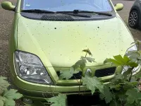 Gebraucht Renault Scénic Authentique 95 PS (69 kW) 2002 Grün Van / Kleinbus