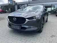 Gebraucht Mazda CX-30 Homura-Line 186 PS (136 kW) 2024 Machine gray SUV