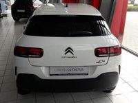 gebraucht Citroën C4 Cactus PureTech 110 S&S Origins