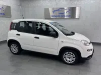 Gebraucht Fiat Panda Cross Cross 69 PS (50 kW) 2023 Weiß Kleinwagen
