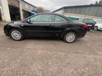 gebraucht Ford Focus Cabriolet Trend