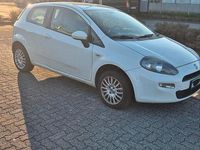 Gebraucht Fiat Punto 60 PS (44 kW) 2012 Weiß Kleinwagen