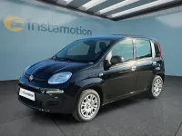 Neu Fiat Panda Icon 65 PS (47 kW) 2026 Schwarz Kleinwagen