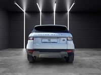 Gebraucht Land Rover Range Rover evoque Pure 150 PS (110 kW) 2015 Weiß SUV
