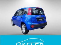 Neu Fiat Panda 69 PS (50 kW) 2025 Blau Kleinwagen