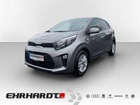 Gebraucht Kia Picanto Vision 67 PS (49 kW) 2024 Grau Kleinwagen
