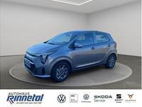 Neu Kia Picanto Vision 68 PS (50 kW) 2026 Grau (astro grey) Kleinwagen
