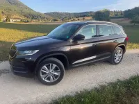 Gebraucht Skoda Kodiaq Active 150 PS (110 kW) 2019 Braun SUV
