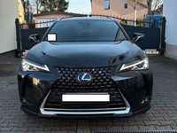 Gebraucht Lexus UX 250h Executive Line 152 PS (111 kW) 2022 Grau SUV