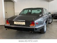 Gebraucht Jaguar XJ S 213 PS (156 kW) 1986 Grau Limousine