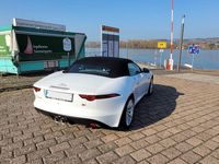Gebraucht Jaguar F-Type Chequered Flag 340 PS (250 kW) 2019 Weiß Cabrio
