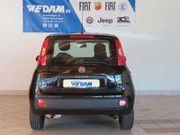 Gebraucht Fiat Panda Easy 69 PS (50 kW) 2020 Cinema schwarz Limousine