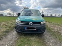 Gebraucht VW Caddy Maxi 102 PS (75 kW) 2017 Grün Van / Kleinbus