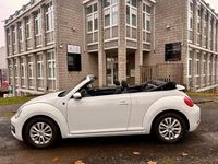 Gebraucht VW Beetle Cabriolet Design 105 PS (77 kW) 2018 Weiß Cabrio