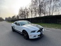 Occasion Ford Mustang 305 ch (224 kW) 2013 Blanc Coupé