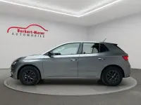 Gebraucht Skoda Fabia Selection 95 PS (69 kW) 2025 Grau Kleinwagen