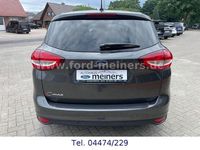 Usata Ford C-MAX 150 CV (110 kW) 2019 Grigio Monovolume