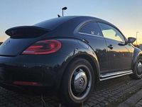 Gebraucht VW Beetle Cup 160 PS (117 kW) 2014 Schwarz Kleinwagen