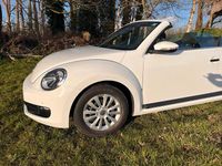 Gebraucht VW Beetle Cabriolet 105 PS (77 kW) 2016 Weiß Cabrio