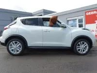 Gebraucht Nissan Juke Acenta 117 PS (86 kW) 2016 Weiß SUV