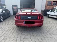 Gebraucht Ford Mustang 309 PS (227 kW) 2016 Rot Coupé