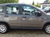 gebraucht Fiat Panda MY22 Hybrid