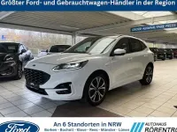 Gebraucht Ford Kuga ST-Line X 224 PS (164 kW) 2020 Weiß SUV