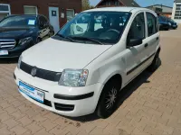 Gebraucht Fiat Panda Active 54 PS (39 kW) 2009 Weiß Kleinwagen