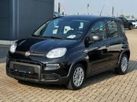 Gebraucht Fiat Panda 69 PS (50 kW) 2024 Cinema schwarz Kleinwagen
