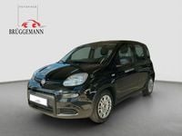 Gebraucht Fiat Panda 69 PS (50 kW) 2023 Schwarz Kleinwagen