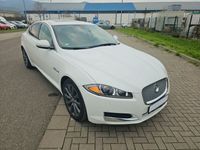 gebraucht Jaguar XF 3.0 L V6 Kompressor AWD