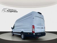 Gebraucht Ford Transit Trend 131 PS (96 kW) 2024 Weiß Van / Kleinbus