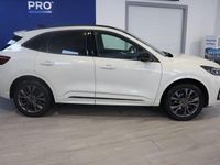 Neu Ford Kuga 179 PS (131 kW) 2026 Weiß SUV