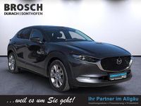 Gebraucht Mazda CX-30 Selection 360 PS (264 kW) 2021 Grau SUV