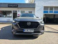 Gebraucht Mazda CX-60 Homura-Line 254 PS (186 kW) 2025 Machine gray SUV