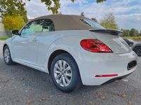 gebraucht VW Beetle Daisy! TheCabriolet 1.2 TS SELTENHEIT