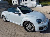 Gebraucht VW Beetle Sound 105 PS (77 kW) 2017 Weiß Kleinwagen