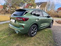 Neu Ford Kuga ST-Line 186 PS (136 kW) 2026 Grün SUV